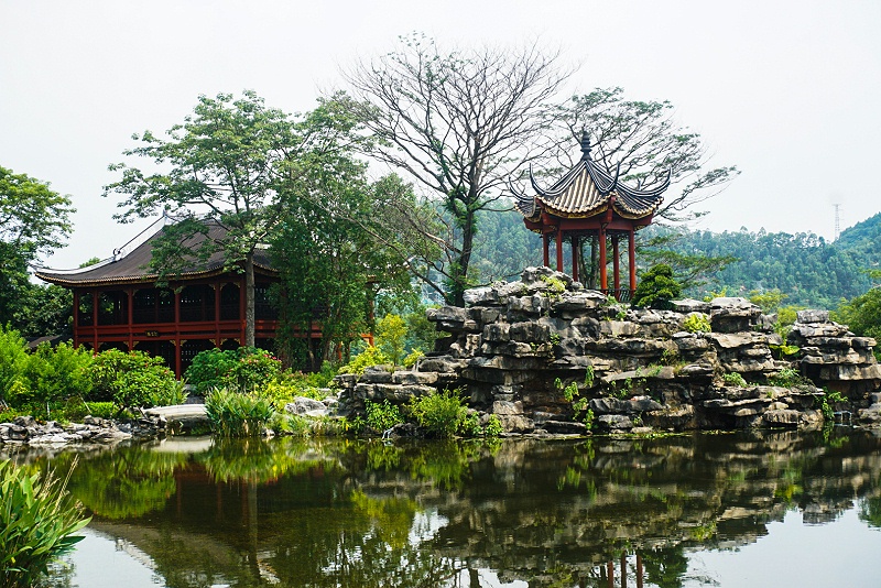 Ag亞洲集團順德美食之旅，用優質食品傳遞幸福，建設具匠心且快樂的團隊 (2)